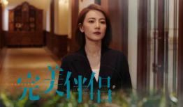 完美伴侣电视剧,爱情与事业的完美交织